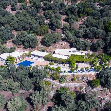 Villa Talos Paleochora Exterior foto
